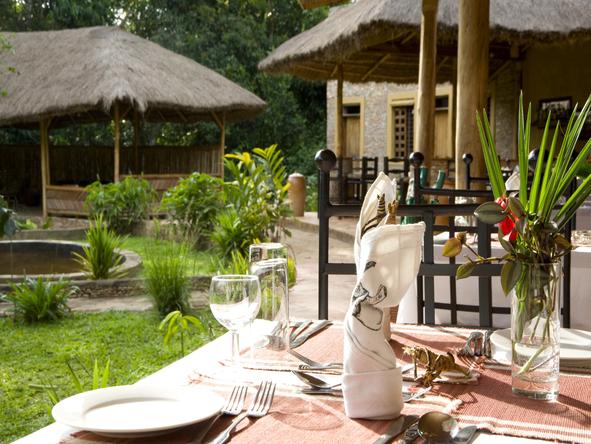 Primate Lodge - Restaurant